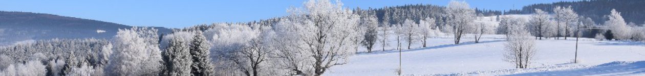 Okolí sjezdovky vleku Start Deštné